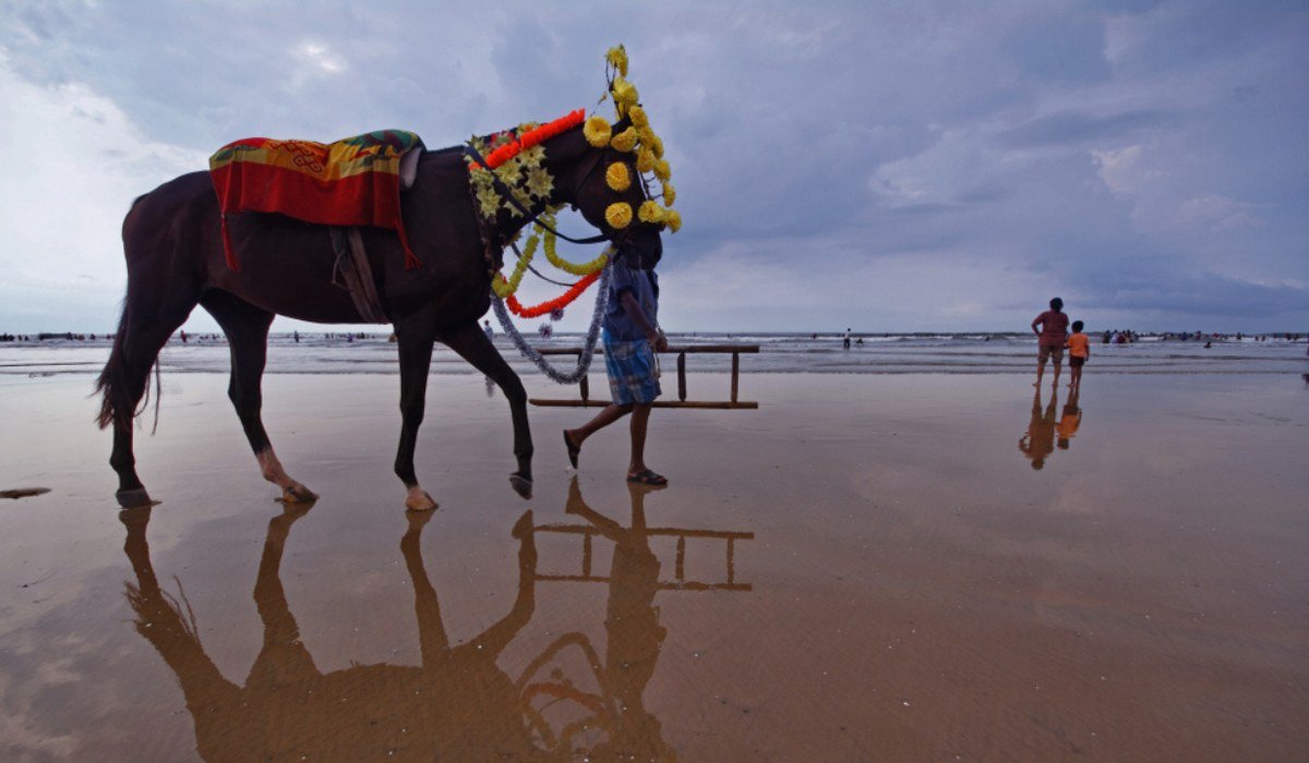 One Day To Photography In Digha